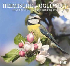 Heimische Vogelwelt 2025 - DUMONT Wandkalender - mit den wichtigsten Feiertagen - Format 38