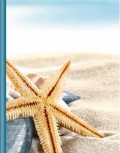 Ladytimer Slim Sea Star 2025 - Taschen-Kalender 9x15