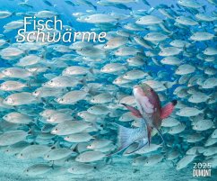 Fischschwärme 2025 - Unterwasser-Natur-Fotografie - Wandkalender 60 x 50 cm - Spiralbindung