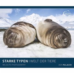 PALAZZI - Starke Typen 2025 Wandkalender