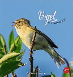 Vögel in unseren Gärten Postkartenkalender 2025