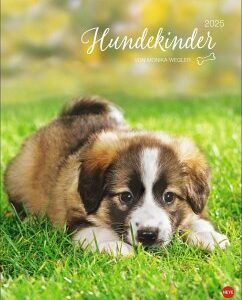 Hundekinder Posterkalender 2025