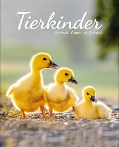 Tierkinder 2025