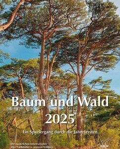 Baum und Wald 2025