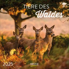 Tiere des Waldes 2025