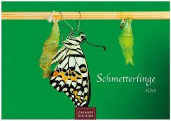 Schmetterlinge 2025 S 24x35cm