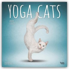 Yoga Cats Official 2025 12 X 24 Inch Monthly Square Wall Calendar Plastic-Free