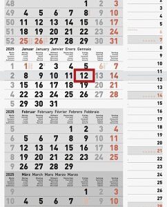 rido/idé 7033430005 4-Monatskalender (2025)  1 Blatt = 4 Monate  300 × 490 mm