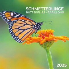 Schmetterlinge 2025