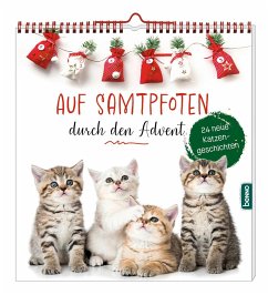 Auf Samtpfoten durch den Advent