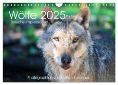 Wölfe 2025. Tierische Impressionen (Wandkalender 2025 DIN A4 quer)