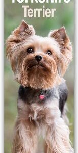 Yorkshire Terrier - Yorkies 2025